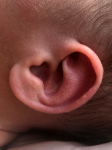 heart ear